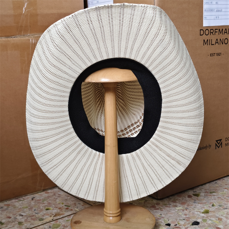 Chapeau de cowboy coloré à bor - Cowboy Hat Straw avis et prix